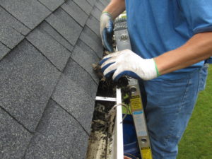 Cleaning Out Gutter